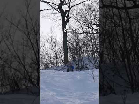 Never sled down a black diamond ski hill