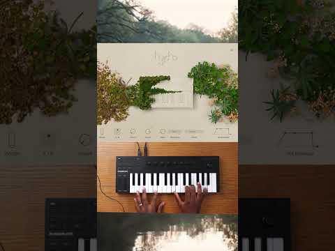 Hypha | Sound Demo | Part 3 #vst #nativeinstruments #kontakt