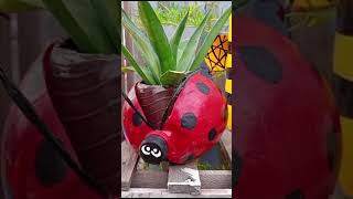 #naturelovers #Planter  #natureart #diy#artisticnature  lady bug 🌺🌱🎨🖌️🤷🐞🐞🐞