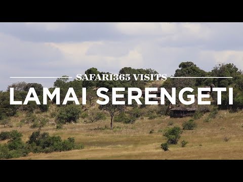 Lamai Serengeti, Serengeti National Park | Safari365