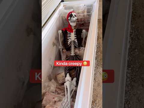 Alligators Prank Mom With Skeleton💀🤣🐊#shorts #halloween