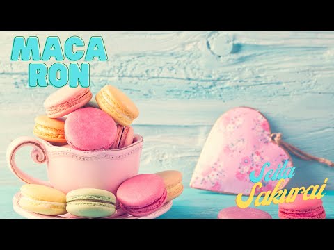 Macaron/サクライセイタ