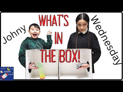 What's In The Box Challenge With WEDNESDAY ADDAMS IN REAL LIFE Wenesday Addams Came To My House