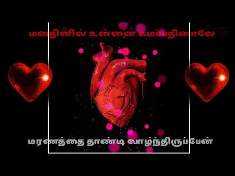 Oru Murai piranthen -nenjirukum varai movie song sad what app love status