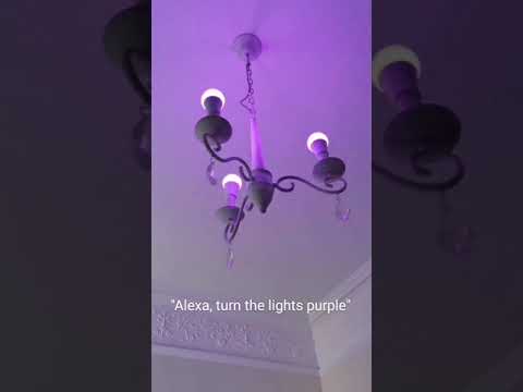 Alexa doing purple bits. Rgb gaming/office. Too much? #gaming #rgb #alexa #gamers