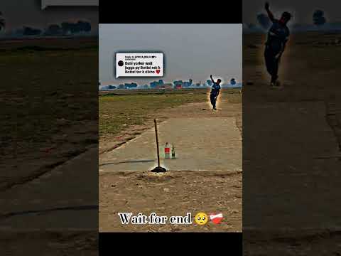 #cricket #cricketlover #viral #viralreels #siraj #viratkohli #short #shorts