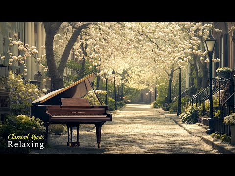 Relaxing Classical Music for the Heart & Soul — Beethoven, Mozart, Chopin, Bach, Tchaikovsky