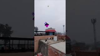 Ek saath 2 patang catch ki 🤫।। #shorts #kitecatching #kite #patang #kitelooting #patang #patangwala