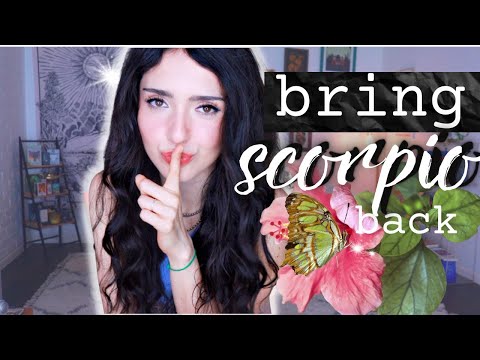 ♏️ Get a Scorpio to Come Back: 5 steps to bring scorpio back after a breakup