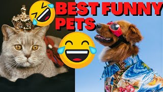 FUNNY CUTE ANIMALS BEST OFF 2021!