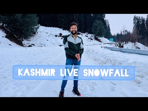 Kashmir Live Snowfall