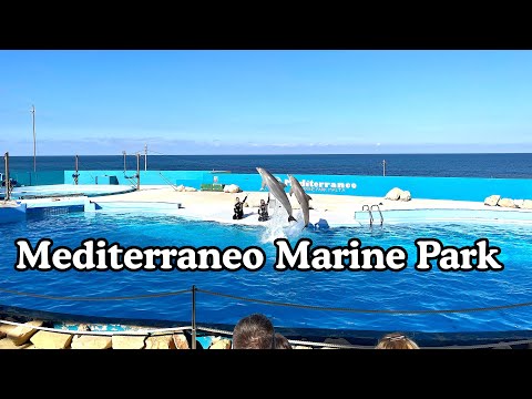 MEDITERRANEO MARINE PARK MALTA- DOLPHIN SHOW