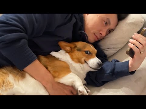 When your dog knows your boyfriend loves it more 😂 Funny Dog and Human