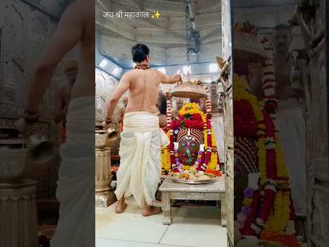 Jay Shree Mahakal ✨ | Bhasma Aarti Darshan #mahakal #shorts