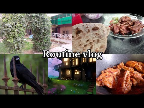 Routine Vlog Chicken Tikka #animation #youtube #vlog