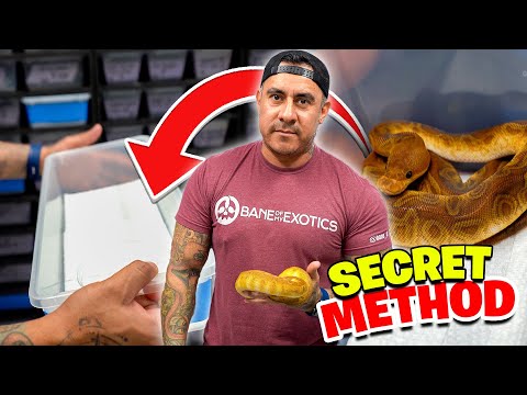 This SECRET Method Changed Everything...