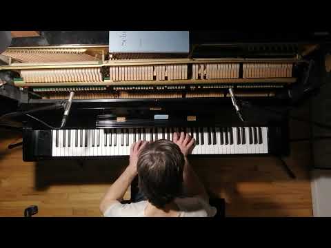 Robert Schumann - Des Pays Mystérieux (Scènes d'Enfants op.15 #1)