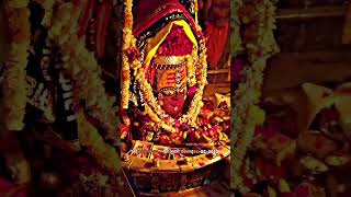 श्री महाकालेश्वर ज्योतिर्लिंग उज्जैन 🙇‍♀️🙏🏼🫂❤#mhakaleshwar #ujjain #jyotirling #bholenath