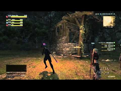 【DDON】テルの未公開クエストの場所