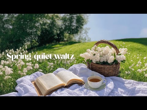 spring's quiet waltz | a dreamy morning playlist ⭐romanticize your life with 2025 guitar music