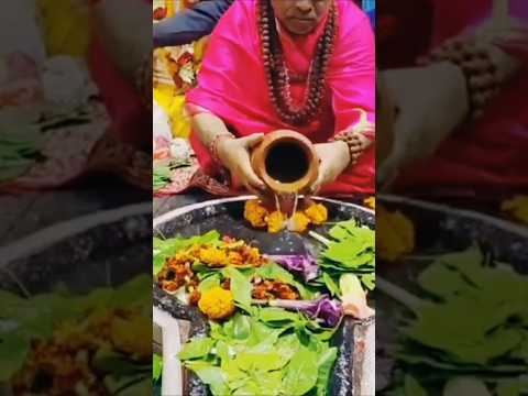 देवों के देव महादेव//devo ke dev mahadev🕉️#video #kedarnathbadrinath