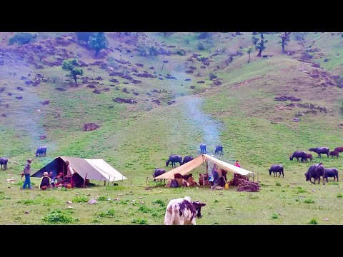 Best Life in The Nepali Himalayan Village During The Rainy Season | How To Life Survive in Rain time