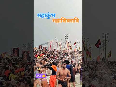 mahashivratri mahakumbh Shahi snan shiv Vivah #ytshorts #mahakumbh #hanumanjimaharaj #bholenath