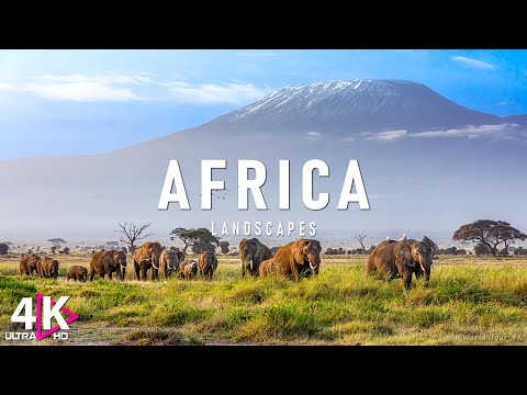 AFRICA 4K • Breathtaking Wildlife, Tribal Music - Relaxation Film - Nature 4K Video UltraHD