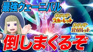 【ポケモンSV】最強ウェーニバルを倒しまくるぞ！【スカーレットバイオレット】