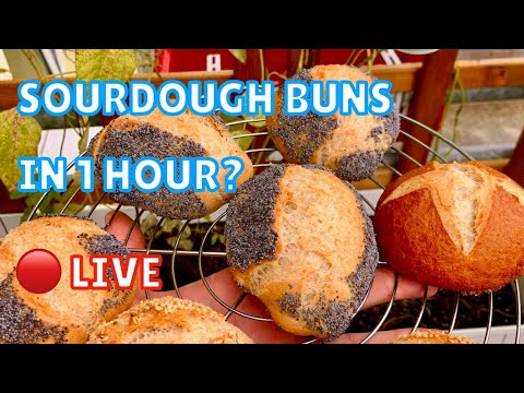 LIVE: Amazing German Sauerteig Brötchen (Sourdough Buns) in 1 Hour