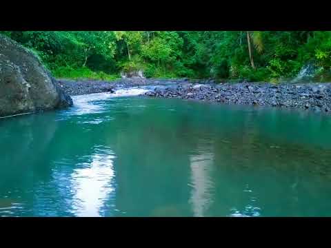 Forest River Stream , Flowing Water , ASMR Water Sound For Anxiety