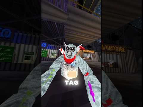 Things you may have missed in the new gorilla tag update#gorillatag #vr #gorillatagfun