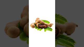 Tamarind Tips| Housewife Ideas