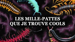 Plein d'Espèces de MILLE-PATTES que Je Trouve COOLS