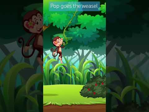 Pop goes the weasel @BoobaBukids #shortsvideo #ytshorts #Shorts #Pop #monkey