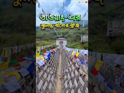 😳700 বছরের পুরানো বাঁশের ব্রিজ - Chakzam Hanging Bridge 🇮🇳 #arunachalpradesh #tawang #arunachalvlog