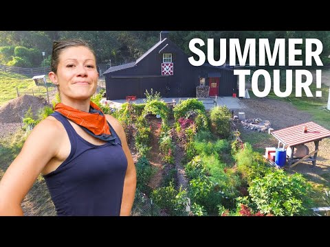 FULL August Garden Tour 2024! | The Lazy Garden Survived and Thrived!