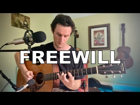 Rush - Freewill (acoustic cover)