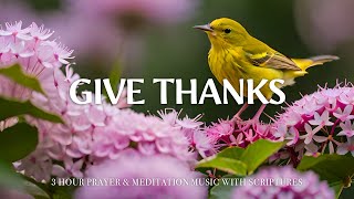 GIVE THANKS | Worship & Instrumental Music With Scriptures | Christian Harmonies