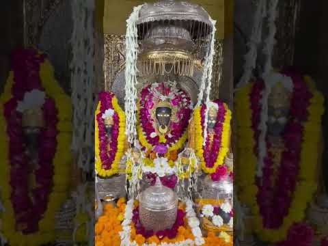 Jay Maa Bagalamukhi