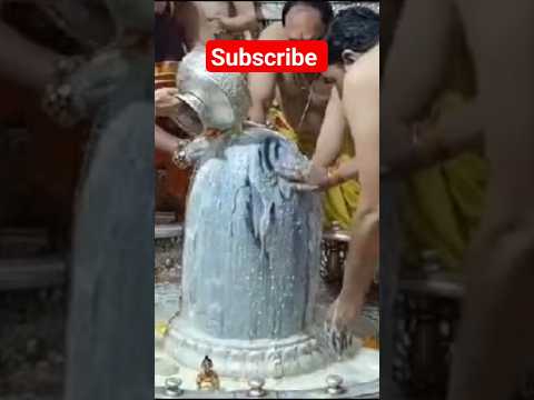 #उज्जैनमहाकाल #ujjainmahakal#mahakal#mahadev #astrology#shorts #mahakalstatus#viral #video#india