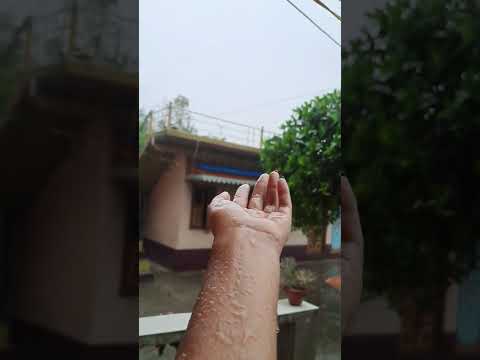 Feel this sound of rain 🌧️😌 | #rain #ytshorts #youtube #weather |