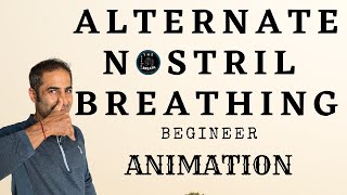 BEGINNER ANIMATION 🔥 Nadi Shodhana Pranayama  🔥 Cleansing Breathing Exercises