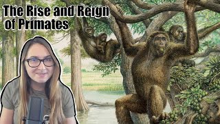 The Rise and Reign of Primates | The Miocene Apes