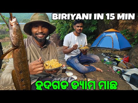 Chicken Biriyani In 15 Minute | Hadgarh Dam Keonjhar |