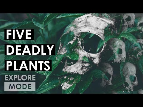 Deadly Plants | 5 Poisonous Plants | EXPLORE MODE