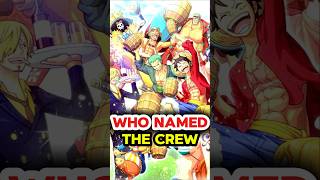 Who named Luffy's crew the Straw Hat Pirates #shorts #onepiece