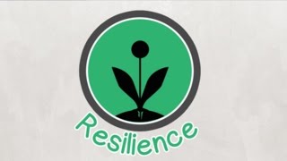 Building Resilience