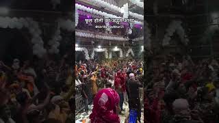 banke Bihari Holi celebration #reels #shorts #ytshorts #holi #vrindavanholi2025 #viralvideo #nepal