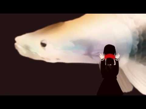 【MEW】 そらのサカナ ¤ Sky Fish 【VOCALOIDカバー】